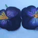 Pansies