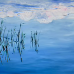 Where the sky floats