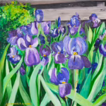 Irises