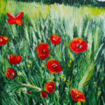 Poppies