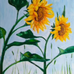 Sunflowers