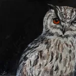 Me owl